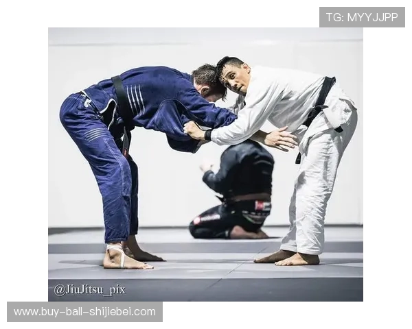 UFC 实战技巧：地面缠斗与巴西柔术基础_20260526125611